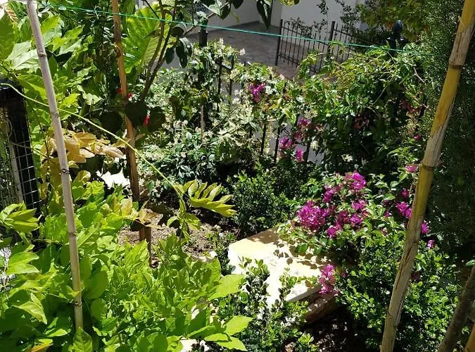 Апартаменты Rock *