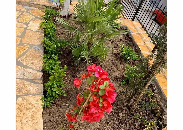 Rock Апартаменты *